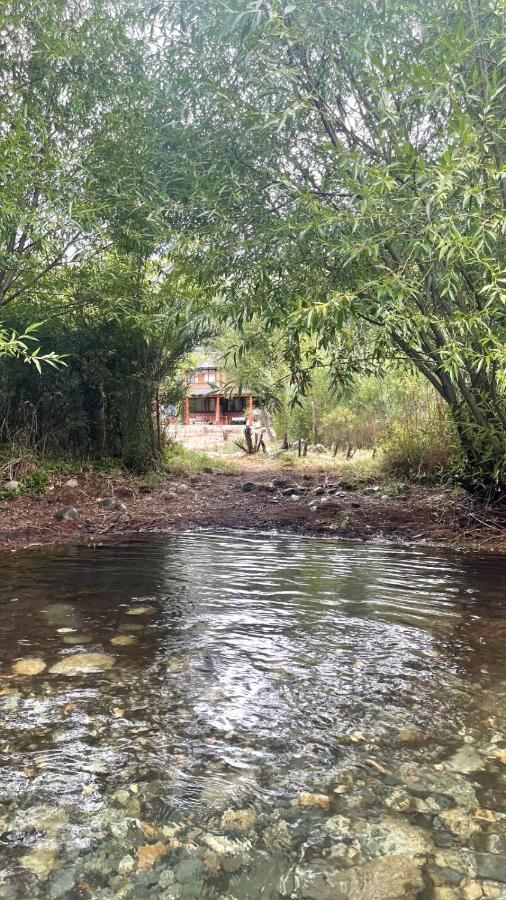 Hostal Del Rio เอลโบลซอน ภายนอก รูปภาพ